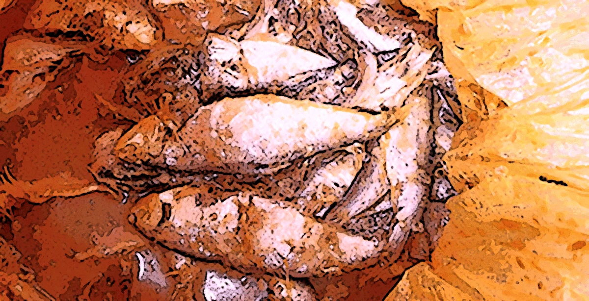 Baendaengi jeotgal, small salted fish, in a yellow plastic bag